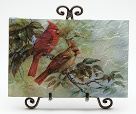 Birds