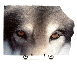 Hunter eyes