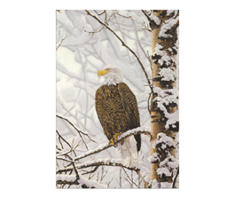 Eagle