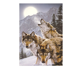 Wolves