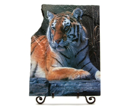 Bengal tiger