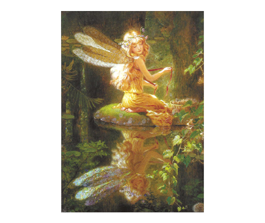 Fairy