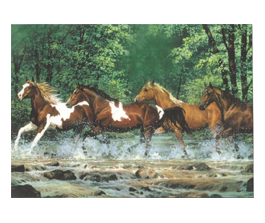 Horses