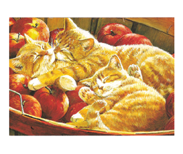 Cats