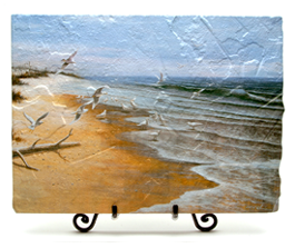 Seagulls on beach