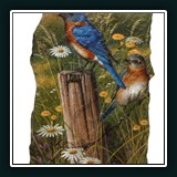 Eastern Bluebirds